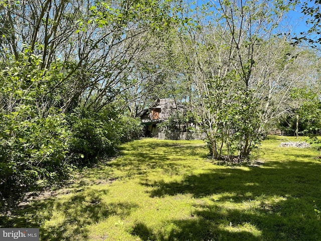 10037 Main St, Berlin, MD 21811 - view of grassy yard