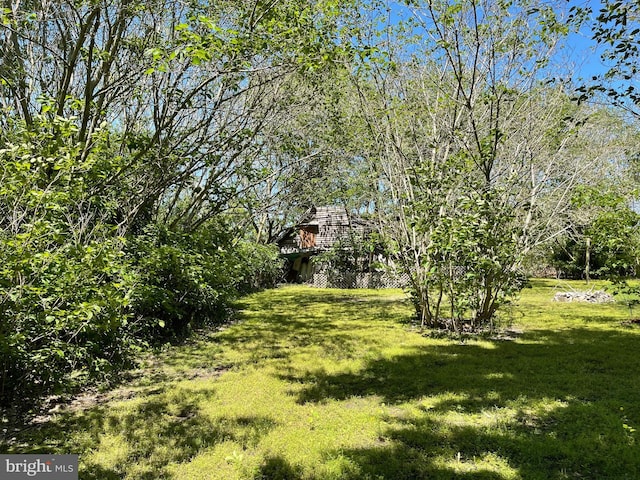 10037 Main St, Berlin, MD 21811 - view of green lawn