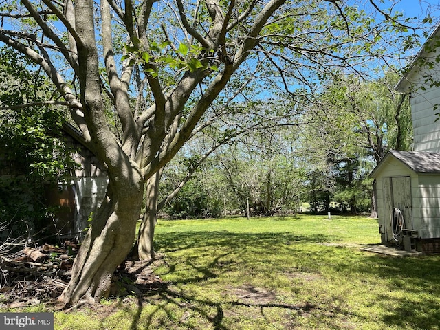 10037 Main St, Berlin, MD 21811 - view of grassy yard
