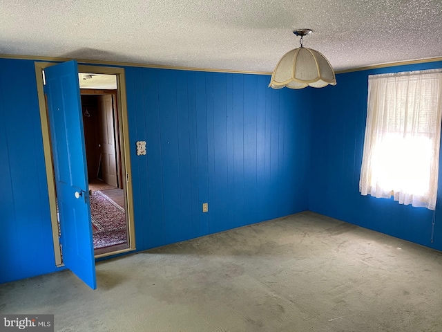 10037 Main St, Berlin, MD 21811 - spare room with carpet and a textured ceiling