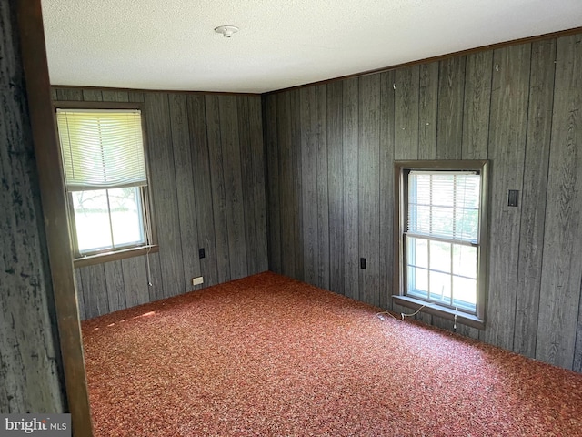 10037 Main St, Berlin, MD 21811 - spare room featuring carpet flooring and wood walls