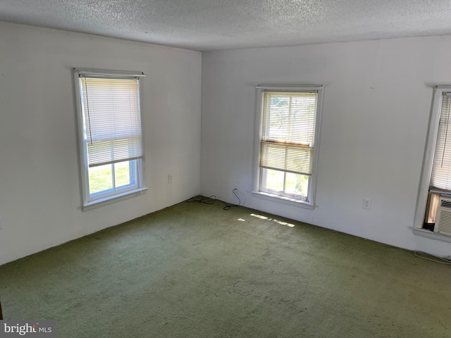 10037 Main St, Berlin, MD 21811 - spare room featuring carpet and a textured ceiling