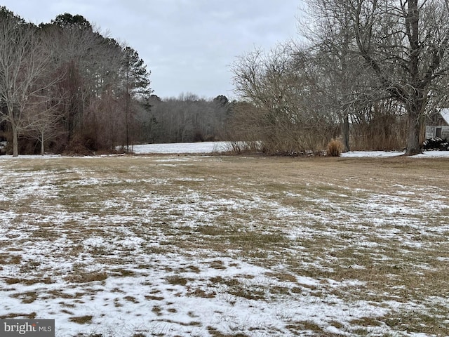 view of snowy yard