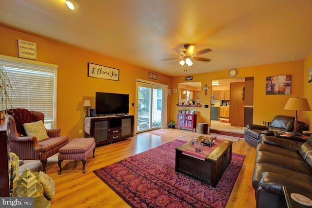 living room with wood-type flooring and ceiling fan