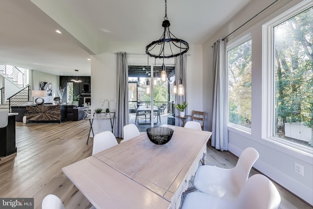 dining space with a wealth of natural light and light hardwood / wood-style flooring