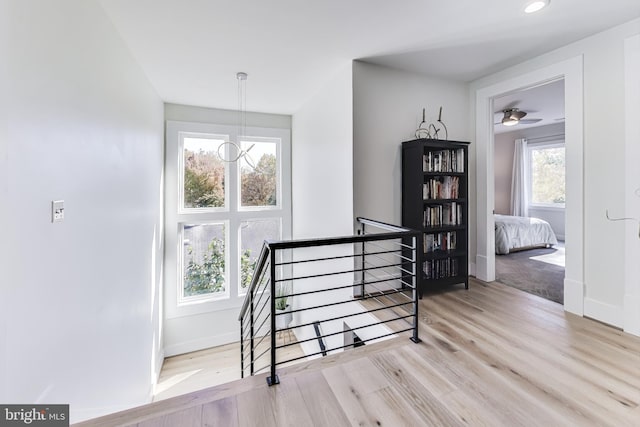 staircase with hardwood / wood-style floors