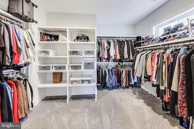 walk in closet with light colored carpet