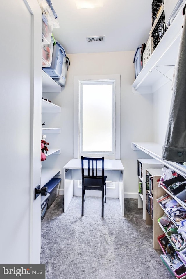 spacious closet with carpet flooring