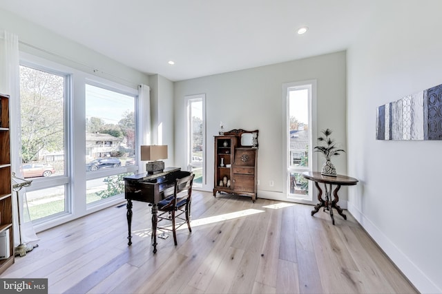 office featuring light wood-type flooring