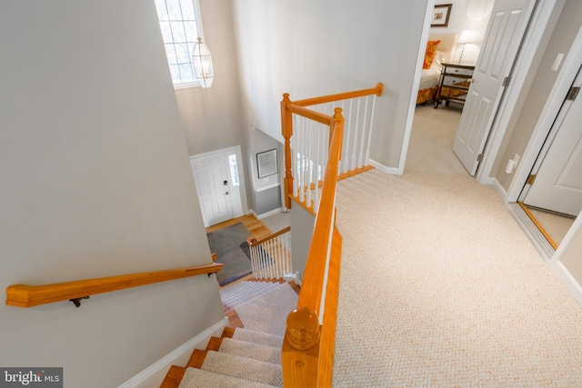 stairway featuring a towering ceiling and carpet flooring