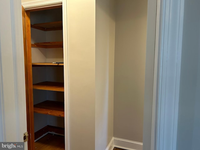 view of closet