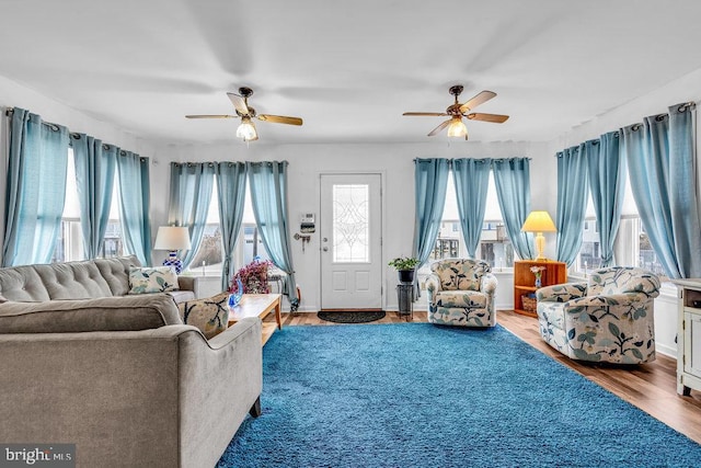 living room with hardwood / wood-style flooring and ceiling fan