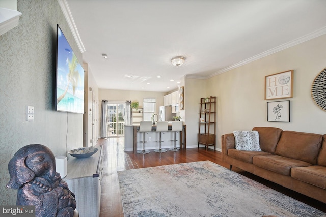 living room featuring crown molding and dark wood-type flooring