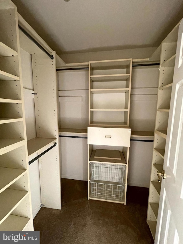 spacious closet featuring dark carpet