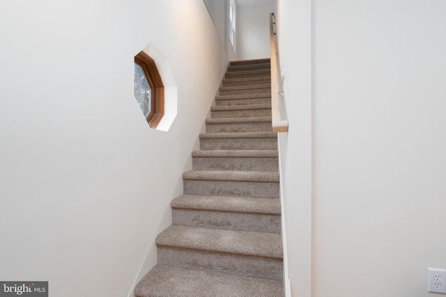 stairway featuring carpet flooring