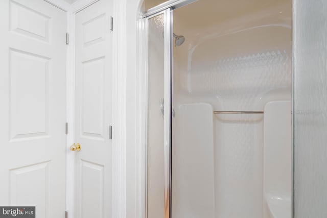 details featuring a shower with door