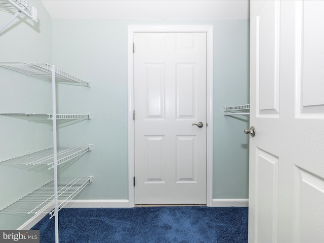 spacious closet with dark carpet