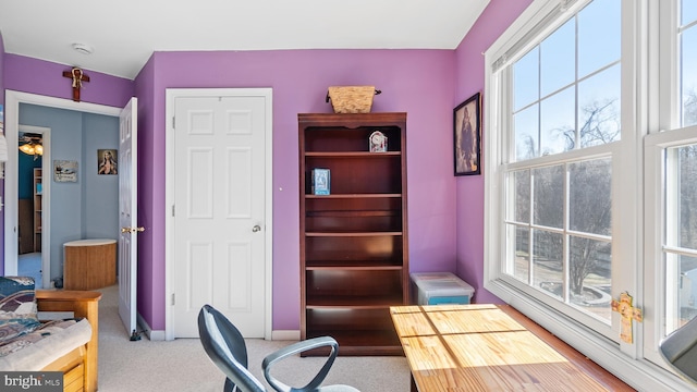 office with light carpet and baseboards