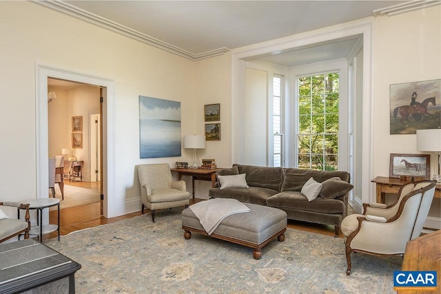 living room with ornamental molding and hardwood / wood-style floors