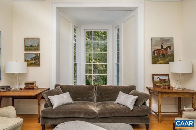 living room with hardwood / wood-style floors and crown molding