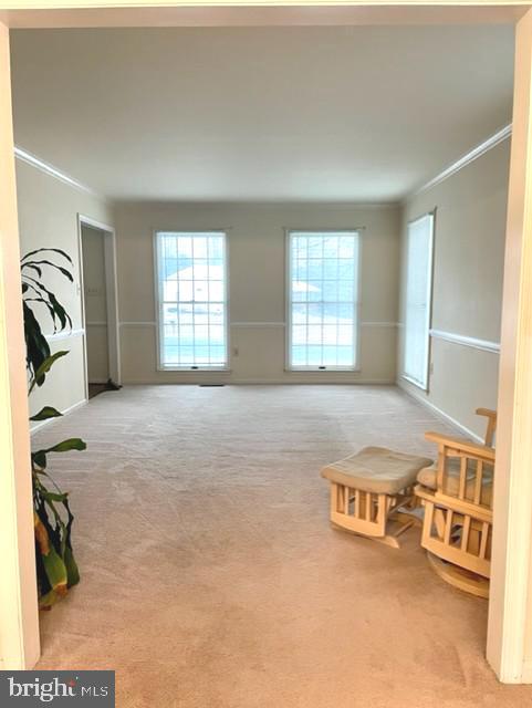 unfurnished room featuring light colored carpet and crown molding