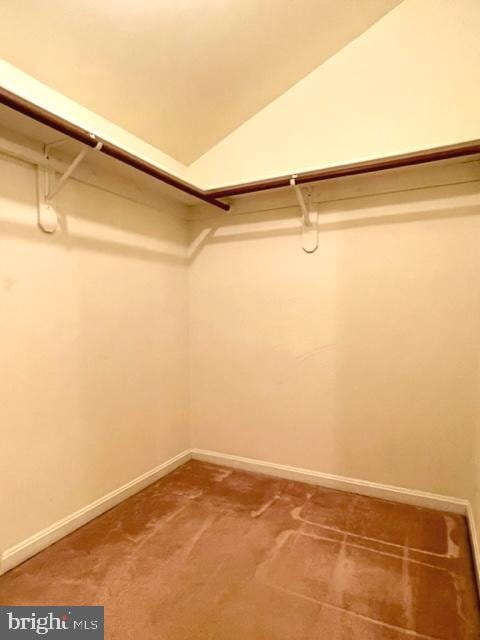 walk in closet with lofted ceiling and carpet flooring