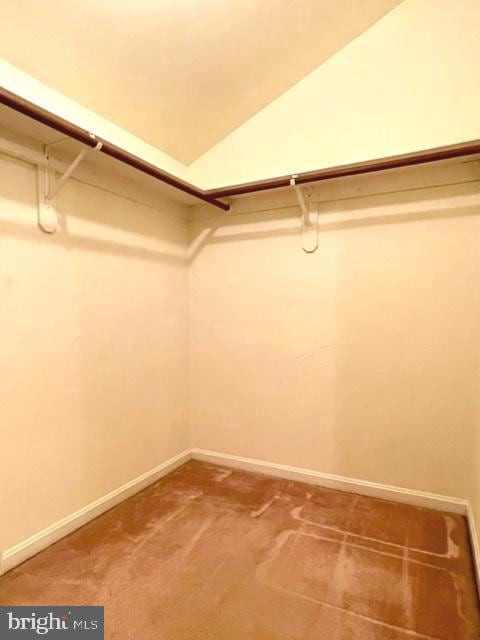 spacious closet featuring carpet floors and lofted ceiling