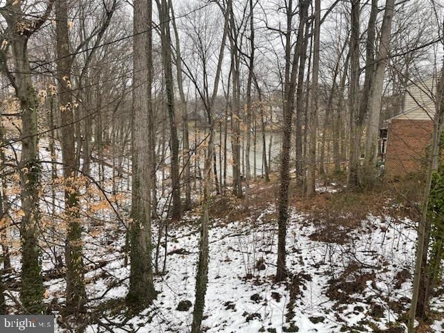 view of snowy landscape