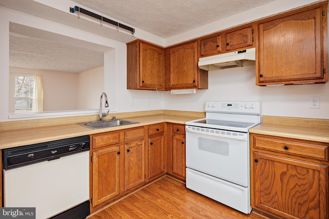 kitchen featuring sink, a textured ceiling, white appliances, and light hardwood / wood-style flooring