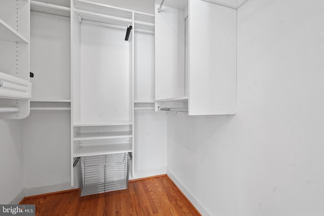 walk in closet with hardwood / wood-style flooring