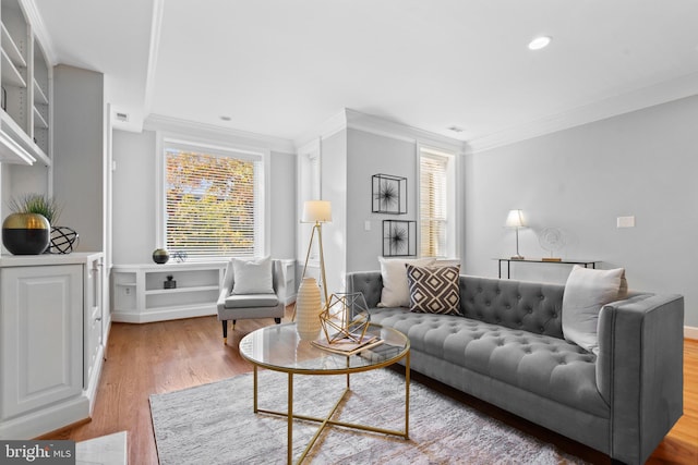 living room with crown molding, plenty of natural light, and light hardwood / wood-style floors