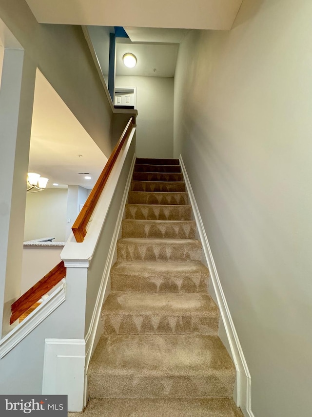 staircase featuring carpet