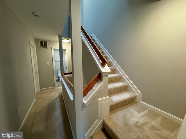 staircase featuring carpet flooring