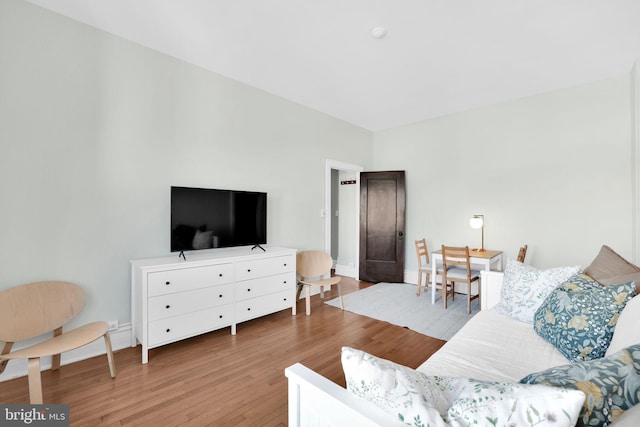 living room with hardwood / wood-style floors