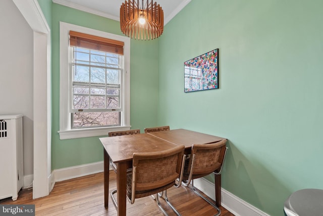 dining space featuring crown molding, radiator heating unit, light wood-type flooring, and a wealth of natural light