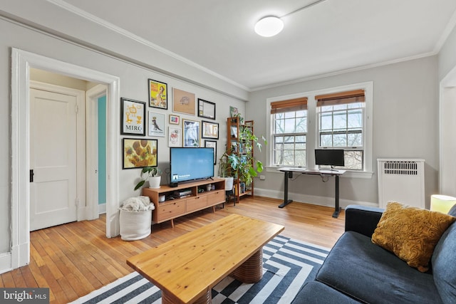 living room with crown molding, radiator, and light hardwood / wood-style flooring