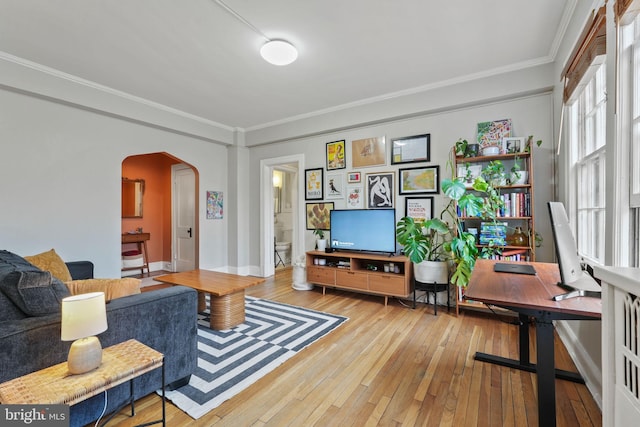 living room with ornamental molding and light wood-type flooring