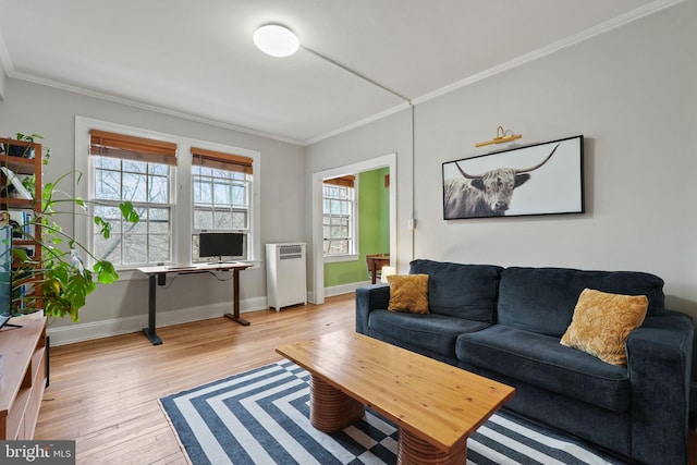 living room featuring crown molding, radiator heating unit, and light hardwood / wood-style flooring