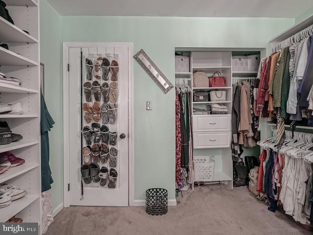 spacious closet featuring light colored carpet