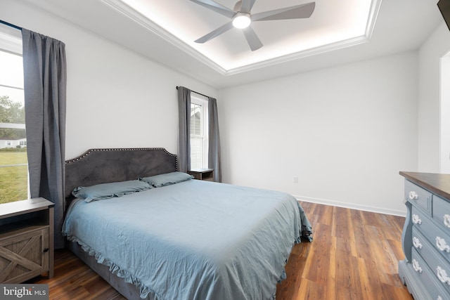 bedroom featuring dark hardwood / wood-style floors, a tray ceiling, and multiple windows