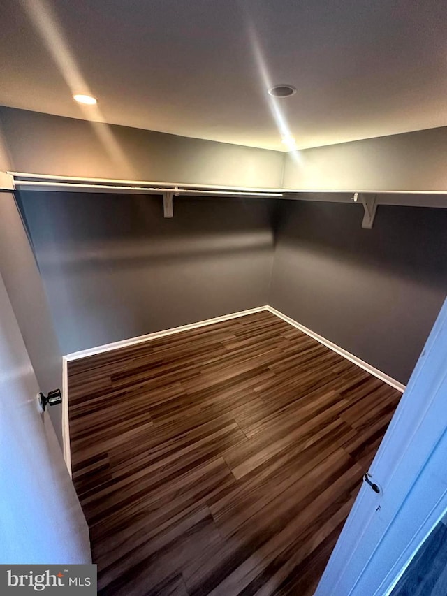 walk in closet featuring dark hardwood / wood-style flooring