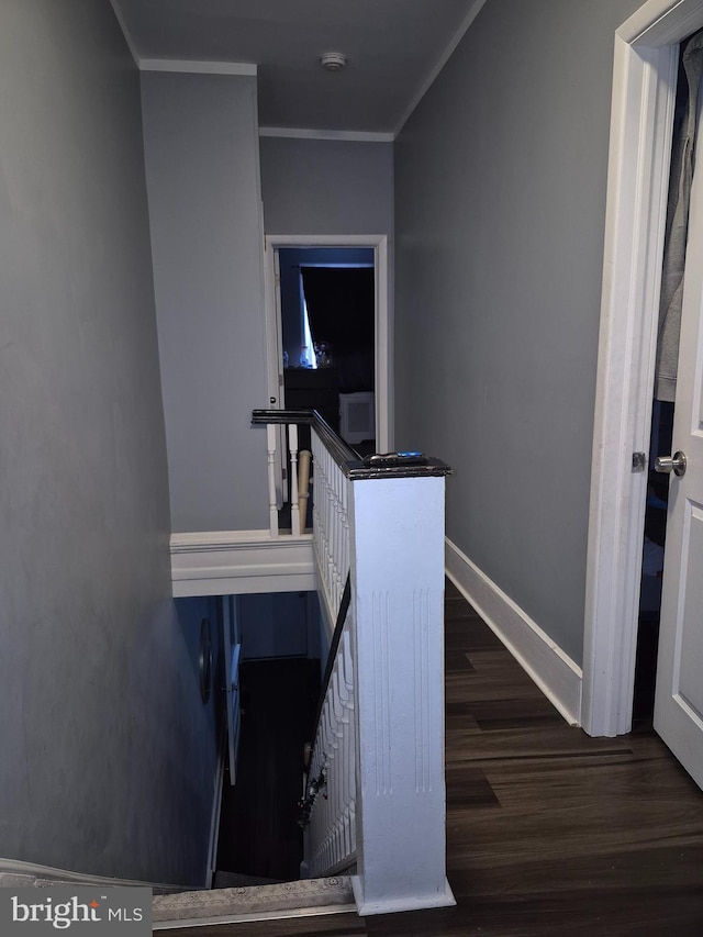 staircase with crown molding and hardwood / wood-style flooring