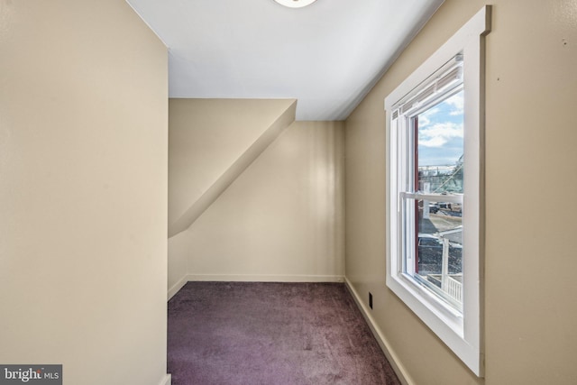 bonus room featuring carpet flooring