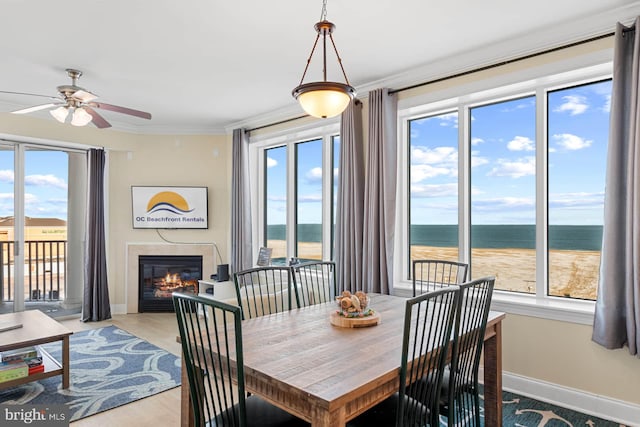 dining room featuring a water view, ornamental molding, light hardwood / wood-style flooring, and a beach view