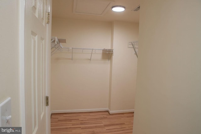 walk in closet with light wood-type flooring