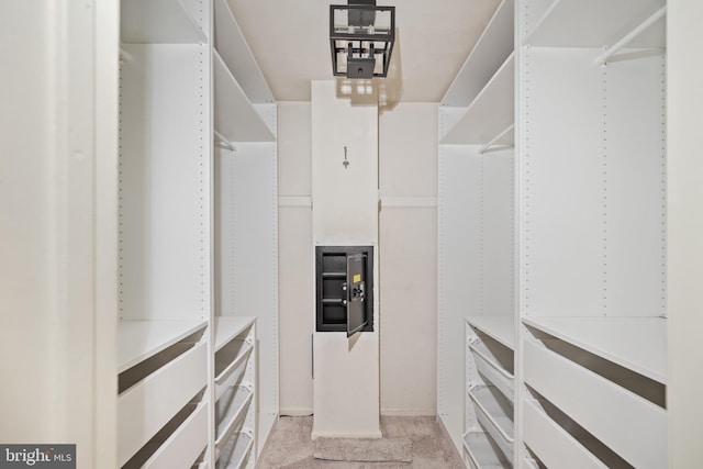 spacious closet with light colored carpet