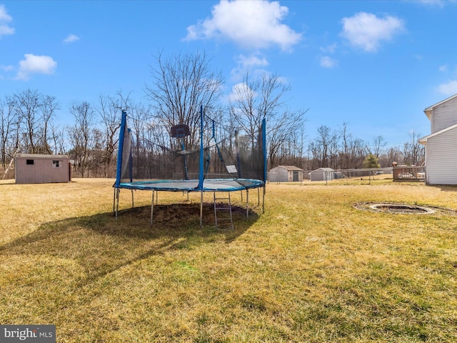 view of yard featuring a shed, a trampoline, and an outdoor structure