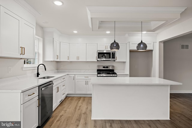 kitchen with pendant lighting, sink, white cabinetry, stainless steel appliances, and a raised ceiling