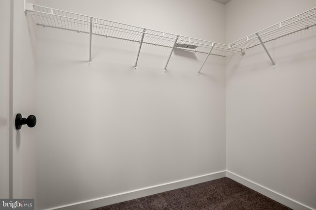 walk in closet featuring carpet flooring