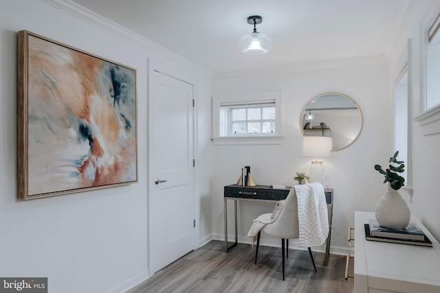 office space featuring crown molding and wood-type flooring